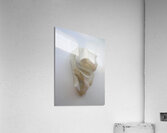 PaperSculpt1 Acrylic Print