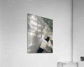 ABWhite1 Acrylic Print