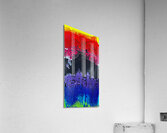 Duality Acrylic Print