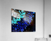 Dandelion Splatter Acrylic Print