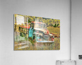 1953 Truck 20x30 Acrylic Print