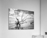 Please Save Me  18x26 Acrylic Print