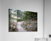 Pathway Series-4 - Tahlequah Trail  Acrylic Print