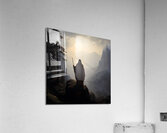 Dovesei Acrylic Print