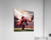 Football Elephant Mascot Art Acrylic Print