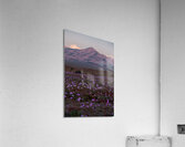 Tamarico Acrylic Print