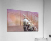 Liolaemus nigromaculatus Acrylic Print