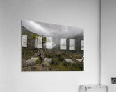 Reserva de Nuble Acrylic Print