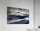 Jumping Dolphin Acrylic Print