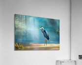 Beautiful Heron Misty Day Acrylic Print