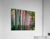 Tranquil Grounds Acrylic Print