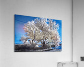 Courtenay River Estuary Infrared Acrylic Print