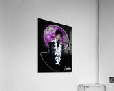 Prince 3121 World Acrylic Print