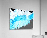 Bonnie Turquoise Sunflowers Acrylic Print