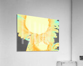  Neon Orange Sunflowers Two in Heatwave Acrylic Print