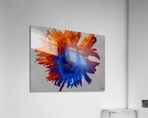 Darker Blue Neon Heatwave Chrysanthemum  Acrylic Print