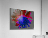 Darker Distressed Neon Heatwave Chrysanthemum Acrylic Print