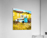 So Many Memories Acrylic Print