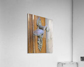 Gdansk2 Acrylic Print