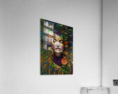 IMG 7547 Acrylic Print