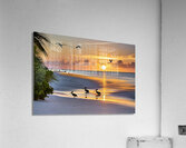 IMG 7724  Acrylic Print