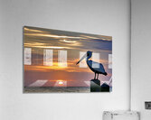 IMG 7726 Acrylic Print