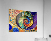 IMG 7704 Acrylic Print