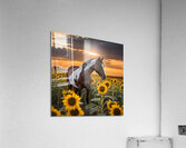 PAINT HORSE IN FLOWERS Acrylic Print