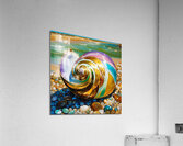 IMG 8046 Acrylic Print