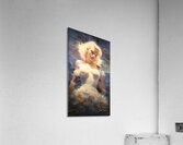 Marylynn 05 Acrylic Print