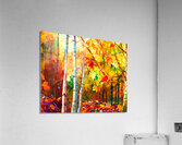 Colorful Fall Leaves in the Forest - 2 Acrylic Print