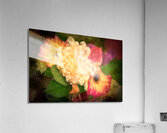 Antique Painting of Flowers Acrylic Print