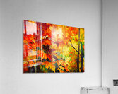 Colorful Fall Leaves in the Forest - 5 Acrylic Print