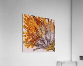 Yellow Submarine Sunflower Acrylic Print