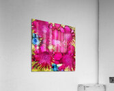 Pink Floral Explosion Acrylic Print
