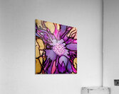Purple and Pink Acrylic Print