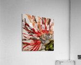 Crimson Firebloom Acrylic Print