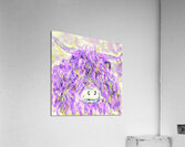 Clem in Pink Acrylic Print