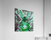 Clarence in Green Acrylic Print