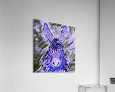 Clarence in Purple Acrylic Print