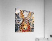 Clarence in Orange Acrylic Print