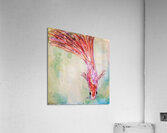 It Swims Acrylic Print