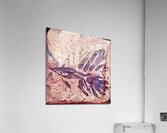 Caught in a Fossil Acrylic Print