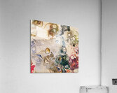 Hidden Truths Acrylic Print