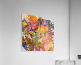 Intrigue in Hues 1 Acrylic Print