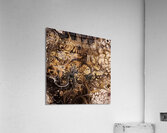 Shimmering Darkness 2 Acrylic Print