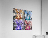 2 Clarence x 4  Acrylic Print
