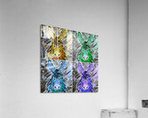 3 Clarence x 4 Acrylic Print