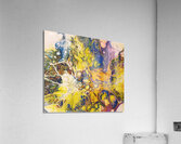 Intrigue in Hues 2 Acrylic Print