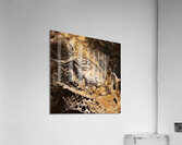 ShimmeringDarkness 1 Acrylic Print